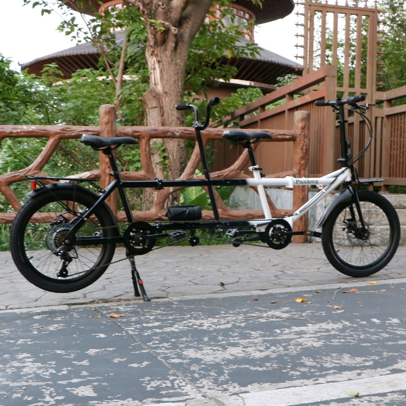 20 Inches Folding Tandem bikes 2-Seater Shimano 7 Speed Bike City Travel Tandem Bicycles
